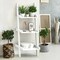 3 Tier Leaning Wall Ladder Display Planting Storage Rack